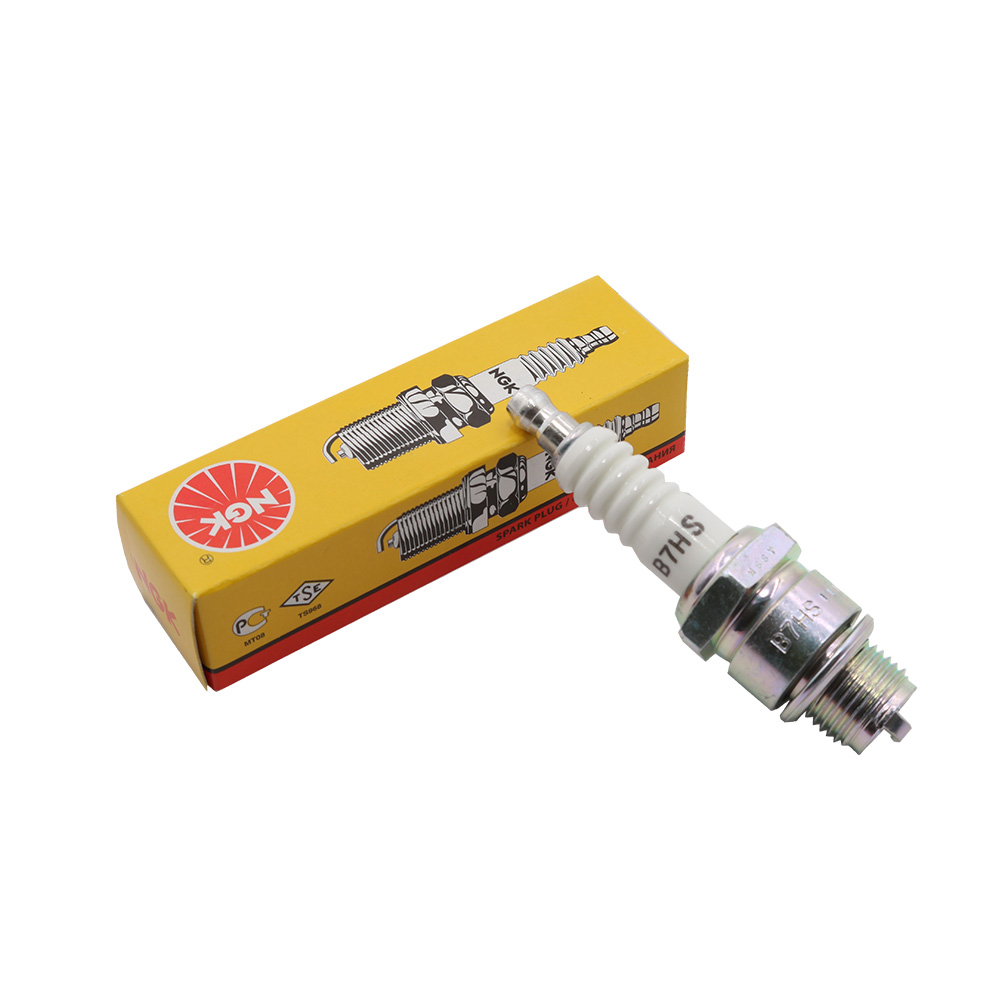 5235432.jpg NGK SVECICA B7HS - Слика 1